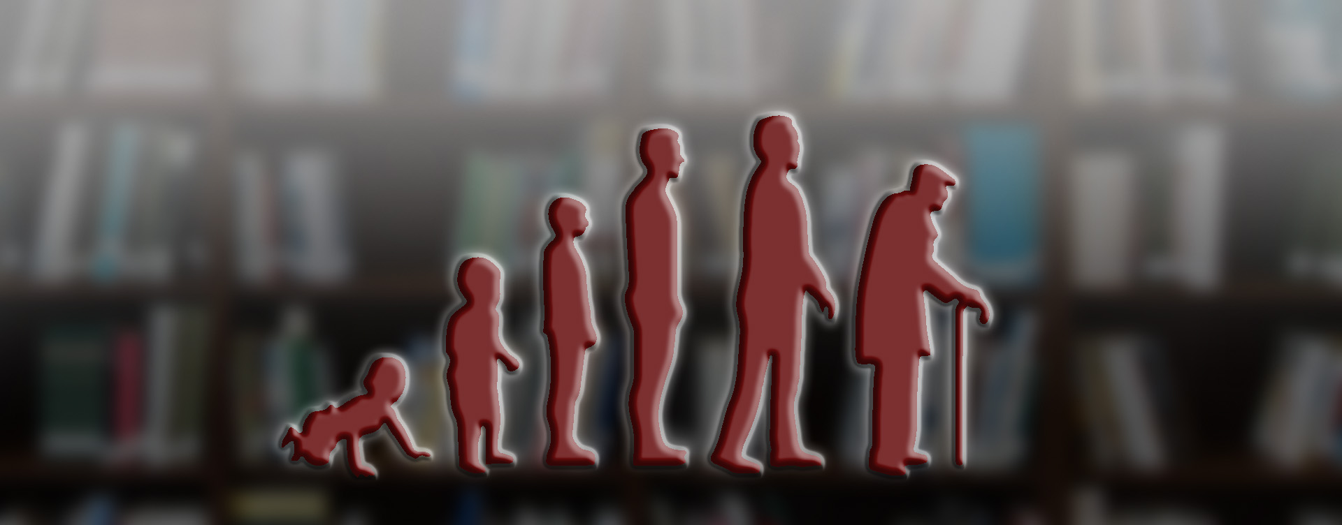 L'évolutiuon de l'homme